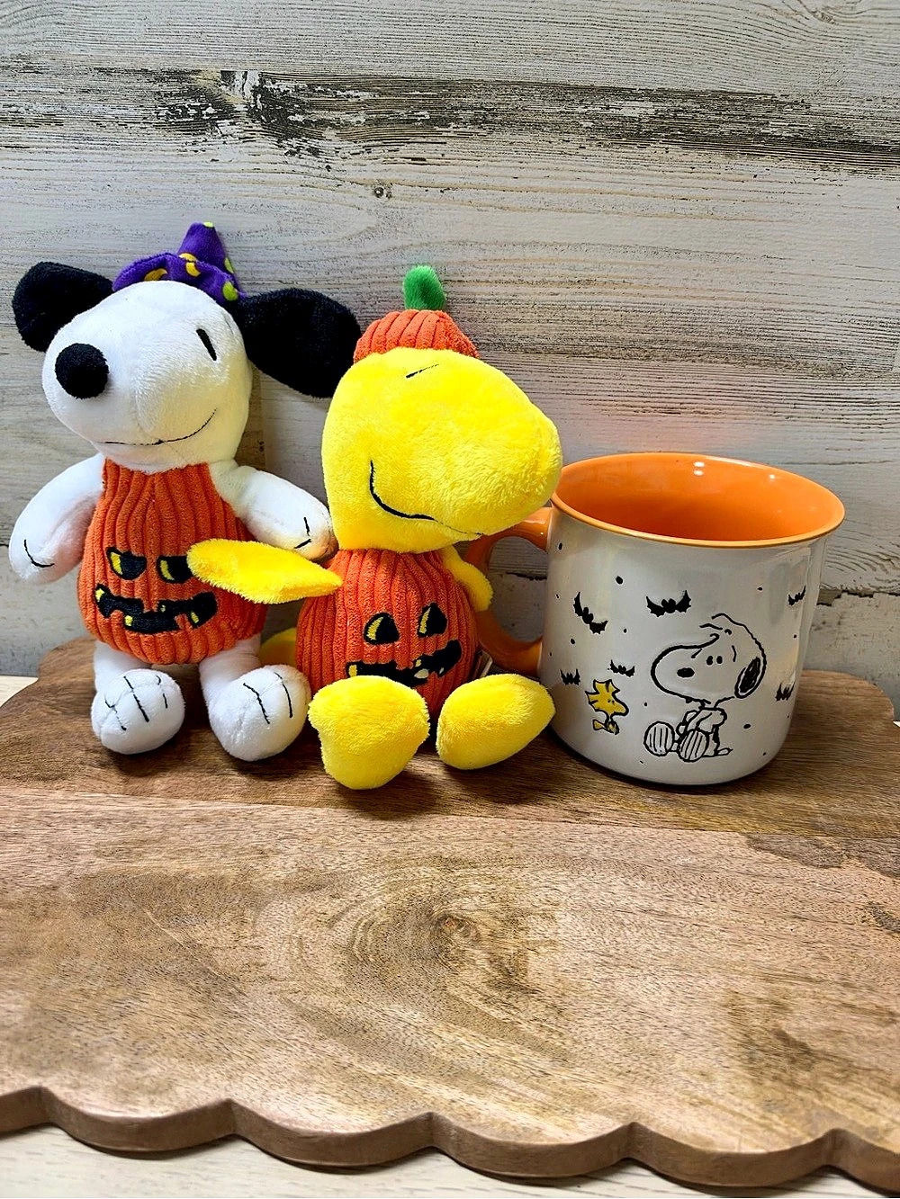 PEANUTS Halloween Snoopy & Woodstock plush set with Peanuts mug & Mug